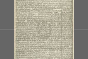 Czas 1889 r. nr 263 proces emigracyjny - dodatek s.2