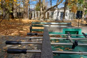 Der Stadtpark in Wadowice - zdjęcie28