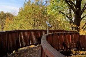 Der Stadtpark in Wadowice - zdjęcie34