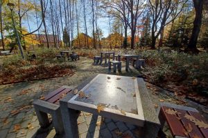 Der Stadtpark in Wadowice - zdjęcie8