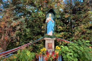 Le Parc Municipal de Wadowice - zdjęcie32