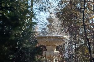 Le Parc Municipal de Wadowice - zdjęcie29