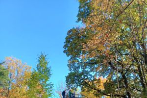 Le Parc Municipal de Wadowice - zdjęcie19