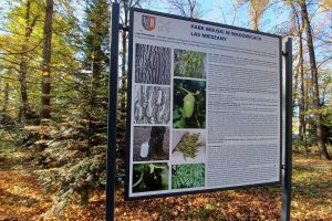 Le Parc Municipal de Wadowice - zdjęcie22