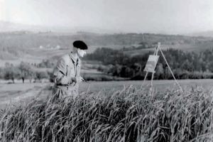 Jan Sarnicki (1904 - 1969) - zdjęcie1