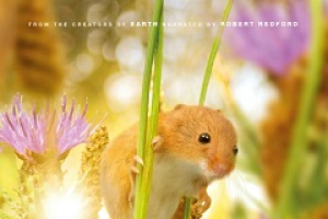 Film przyrodniczy w Kinie Centrum - zdjęcie1