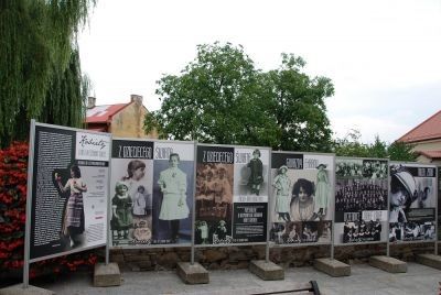 Kobiety u nas i na szerokim świecie!