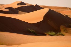 Oman – dwa tygodnie z niemowlakiem na pustyni - zdjęcie2