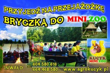 Przejażdżka bryczką w Mini ZOO
