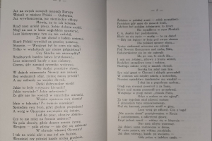 Spojrzenie w przeszłość z myślą o teraźniejszości. Wyjątkowa książka o wojennych losach Choczni - zdjęcie4