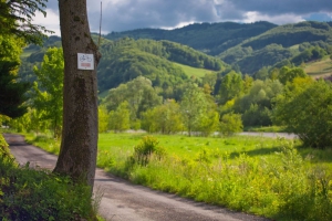 Dołącz do sieci Miejsc Przyjaznych Rowerzystom! - zdjęcie5