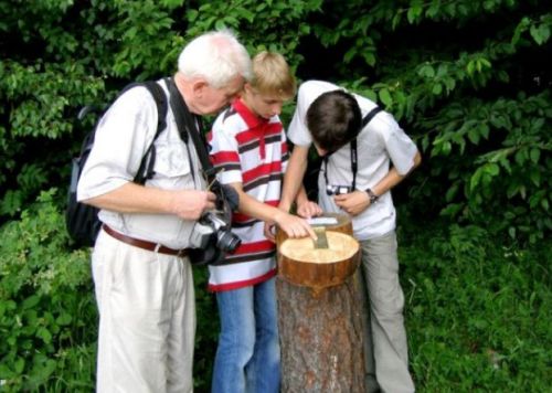 Ścieżka dydaktyczna na Dzwonku