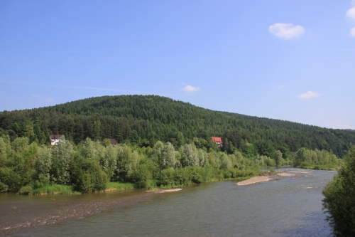 Bezpłatne wyprawy z przyrodnikami na Jaroszowicką Górę