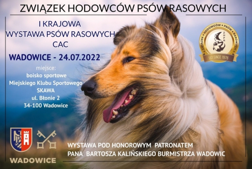 I Krajowa Wystawa Psów Rasowych CAC