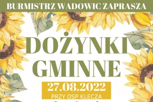 II Dożynki Gminne - zdjęcie1