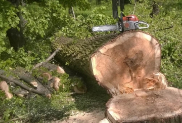 Utrudnienia na zielonym  szlaku w kierunku Leskowca