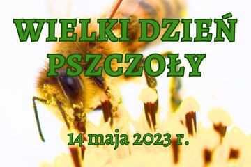 Wielki Dzień Pszczoły w Wadowicach