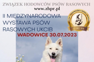 II Międzynarodowa wystawa psów rasowych UKCIB - zdjęcie1