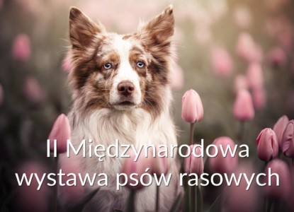 II Międzynarodowa wystawa psów rasowych UKCIB