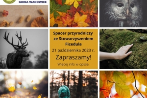 Woda przyroda i ja – przyrodniczy spacer z Ficedulą - zdjęcie1