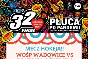 Marsz psów i mecz w hokeja z WOŚP Wadowice - zdjęcie1