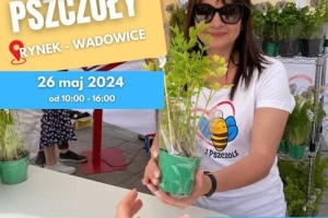 Wspólnie podziękujmy pszczole na wadowickim rynku! - zdjęcie1