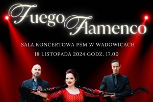 Państwowa Szkoła Muzyczna w Wadowicach zaprasza na koncert Fuego Flamenco - zdjęcie3