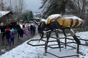 Ferie z Apilandią - zdjęcie1