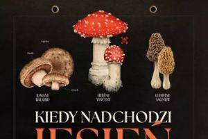 W Kinie Centrum - Kiedy nadchodzi jesień - zdjęcie1