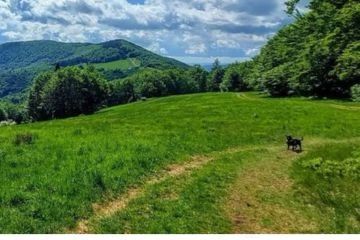 Wakacyjne, górskie wycieczki z WCK