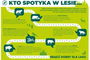 UWAGA – niedźwiedź! - zdjęcie1