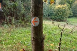 Szlak Romea Strata z europejskim certyfikatem! - zdjęcie1