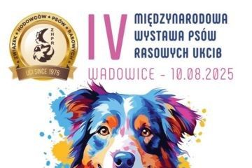 IV Międzynarodowa Wystawa Psów Rasowych