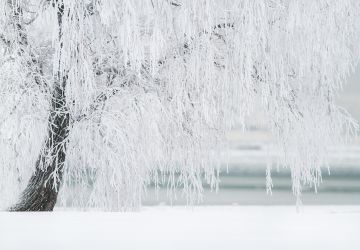Styczeń w Strefie SOWA