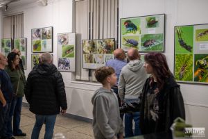 „Życie pod stopami” – wystawa fotografii makro Jerzego Tomiaka w Andrychowie - zdjęcie1