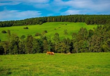 Wycieczki górskie z WCK od maja do września