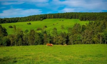 Wycieczki górskie z WCK od maja do września