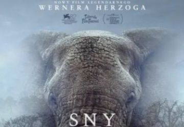 W Kinie Centrum 1 lipca  „SNY O SŁONIACH