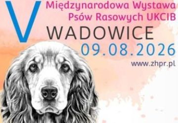 V Międzynarodowa Wystawa Psów Rasowych UKCIB na Błoniach