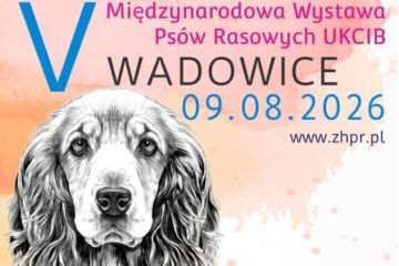 V Międzynarodowa Wystawa Psów Rasowych UKCIB na Błoniach