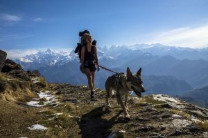 Klub Podróżnika: Wataha w podróży - zdjęcie2