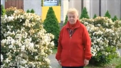 Moje miasto Wadowice