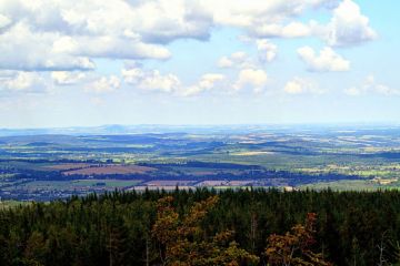 Jaroszowicki piknik rodzinny