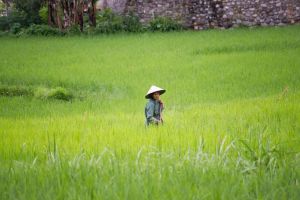 Klub Podróżnika - Autostopem na równik - zdjęcie1
