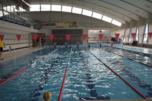 V Puchar Wadowic w pływaniu