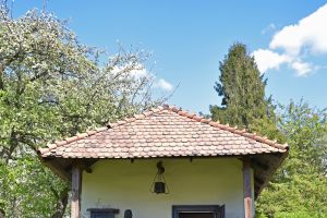 X Plener malarsko-fotograficzny im. F. Suknarowskiego - zdjęcie1