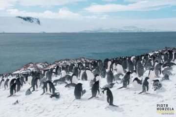 Spotkanie w Klubie Podróżnika Bez paszportu!