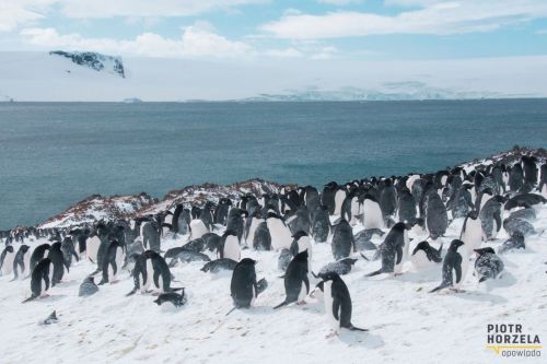 Spotkanie w Klubie Podróżnika Bez paszportu!
