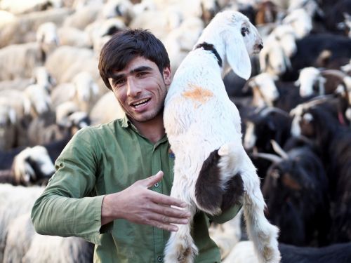 Klub Podróżnika Bez Paszportu