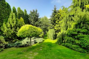 Unterkunft in Jaroszowice - zdjęcie9